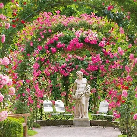 Apartmán Royal Baden-Baden